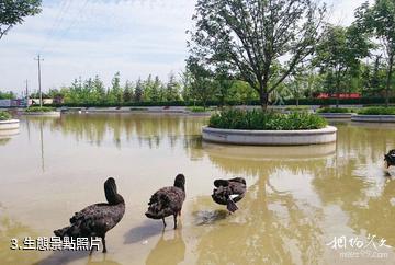 西咸灃東灃河生態景區-生態照片