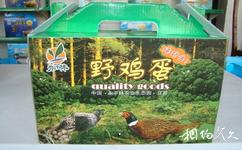 江蘇永豐林農業生態園旅遊攻略之野雞蛋