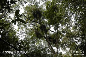 海南吊羅山國家森林公園-空中花園照片