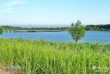 东营揽翠湖旅游度假区-生态植物区照片