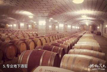 嘉峪关紫轩葡萄酒庄园-专业地下酒窖照片