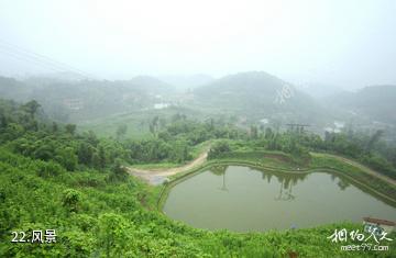 重庆巴岳山―西温泉风景区-风景照片