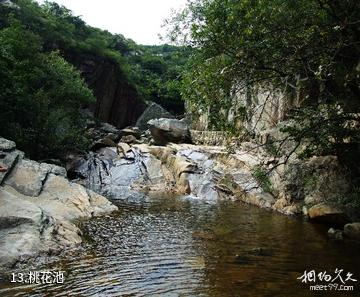 连云港渔湾风景区-桃花池照片