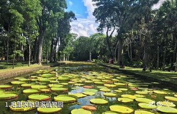 毛里求斯皇家植物园照片