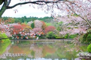 日本龍安寺-鴛鴦池照片
