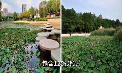 銀川龍池驢友相冊