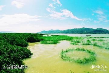 福建漳江口紅樹林國家級自然保護區-濕地照片