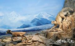 青藏高原自然博物館旅遊攻略之冰雪地帶
