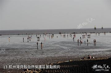 上海奉賢海灣旅遊區-杭州灣貝殼自然保護區照片