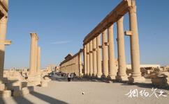 敘利亞帕爾米拉古城旅遊攻略之羅馬圓柱大道