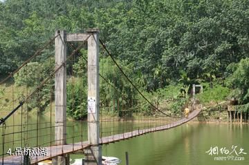 西双版纳曼迈桑康风景区-吊桥观湖照片