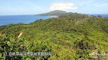 日本小笠原群島-亞熱帶海洋性氣候照片