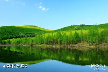 黑龍江鳳凰山國家級自然保護區-森林照片