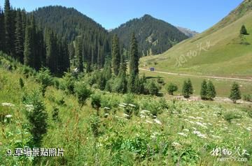 伊犁白石峰瓊博拉森林公園-草場照片