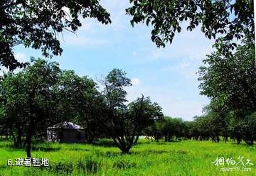 兴隆山黄榆景区-避暑胜地照片