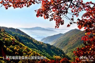 茅荊壩國家森林公園照片