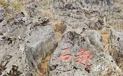 重慶雲陽歧山草原旅遊攻略之地質遺迹