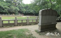 西安兴庆宫公园旅游攻略之唐勤政务本楼遗址