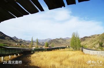 新疆天山野生动物园-观光廊桥照片