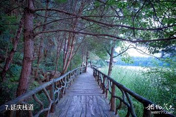 松阳松阴溪景区-延庆栈道照片