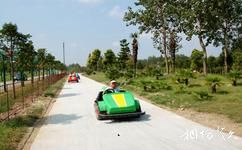 江蘇永豐林農業生態園旅遊攻略之卡丁賽車