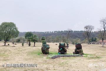 南京平山森林公園-森林植雕園照片