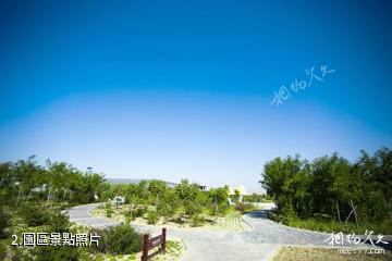 內蒙古黃河麥野谷生態休閑旅遊區-園區照片