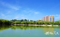 呼和浩特青城公园旅游攻略之湖水