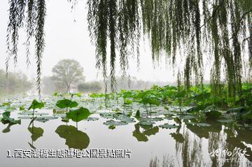 西安灞橋生態濕地公園照片