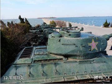 东营龙悦湖天鹅湖-军用坦克照片