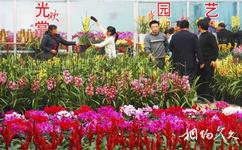 青州花好月圆旅游攻略之花卉交易大厅