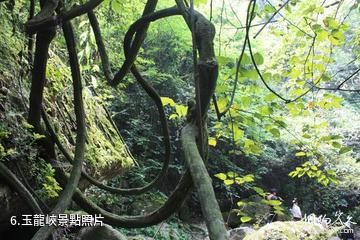 辰溪燕子洞旅遊區-玉龍峽照片