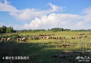 阿克蘇拜城康其濕地公園-鄉村生活照片