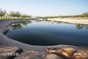 辽宁朝阳鸟化石国家地质公园-鱼类乐园照片