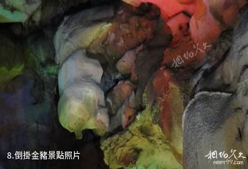 寧化天鵝洞風景區-倒掛金豬照片