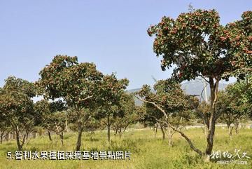 天津智利風情園-智利水果種植採摘基地照片