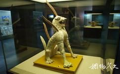 吐鲁番博物馆旅游攻略之吐鲁番通史陈列