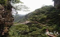 福州旗山国家森林公园旅游攻略之索桥天梯