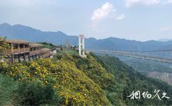 漳州高峰谷旅游攻略之高空玻璃桥