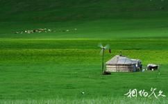 內蒙古錫林郭勒草原旅遊攻略之輝騰錫勒草原