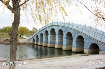 甘肅金昌金水湖-橋樑照片