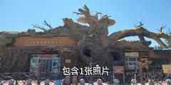 吐鲁番坎儿井传承区驴友相册
