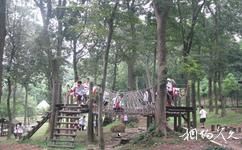上海佘山国家森林公园旅游攻略之竹海乐园