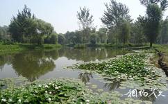 山西孝河国家湿地公园旅游攻略之洗砚池