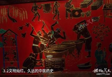 中国阿胶博物馆-2文明灿烂，久远的中医药史照片