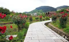 重庆黔江官村旅游攻略之阿蓬江花卉园
