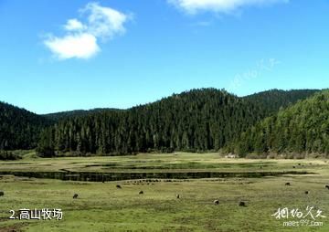 霞给藏族文化村-高山牧场照片