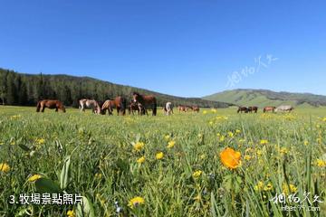 阿泰勒托勒海特景區-牧場照片