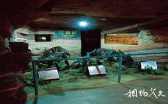 河南省地质博物馆旅游攻略之三叠纪时期