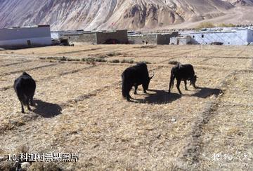 西藏科迦寺-科迦村照片
